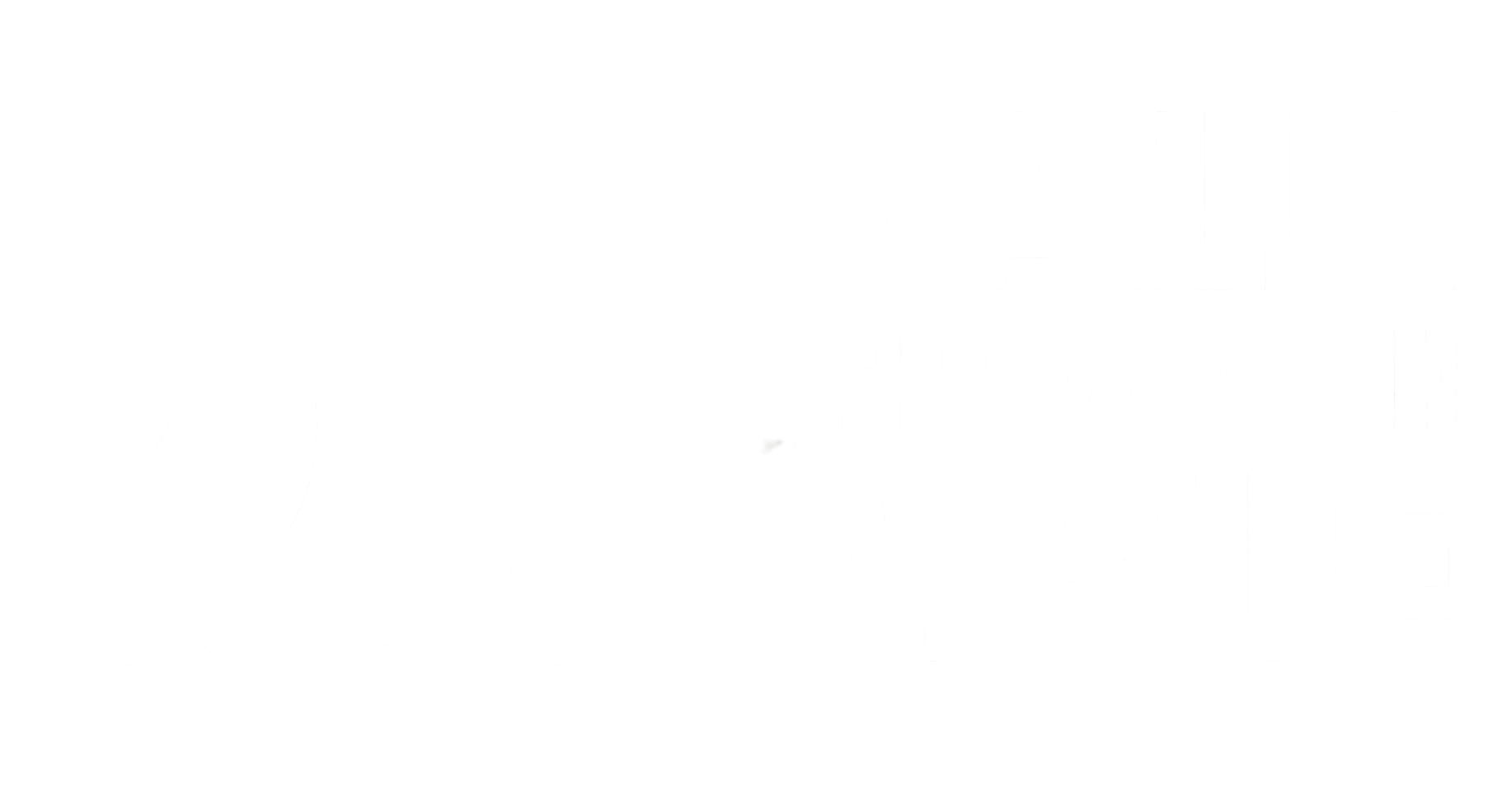 WTB Hub